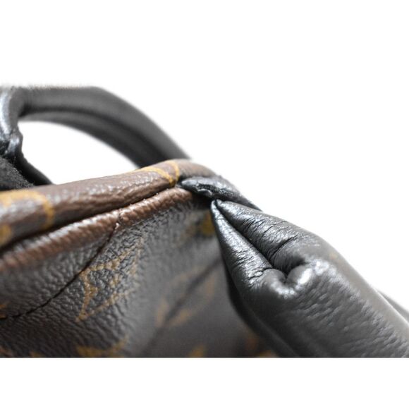 Louis Vuitton Palm Springs Backpack PM Monogram Rucksack - Picture 9 of 13